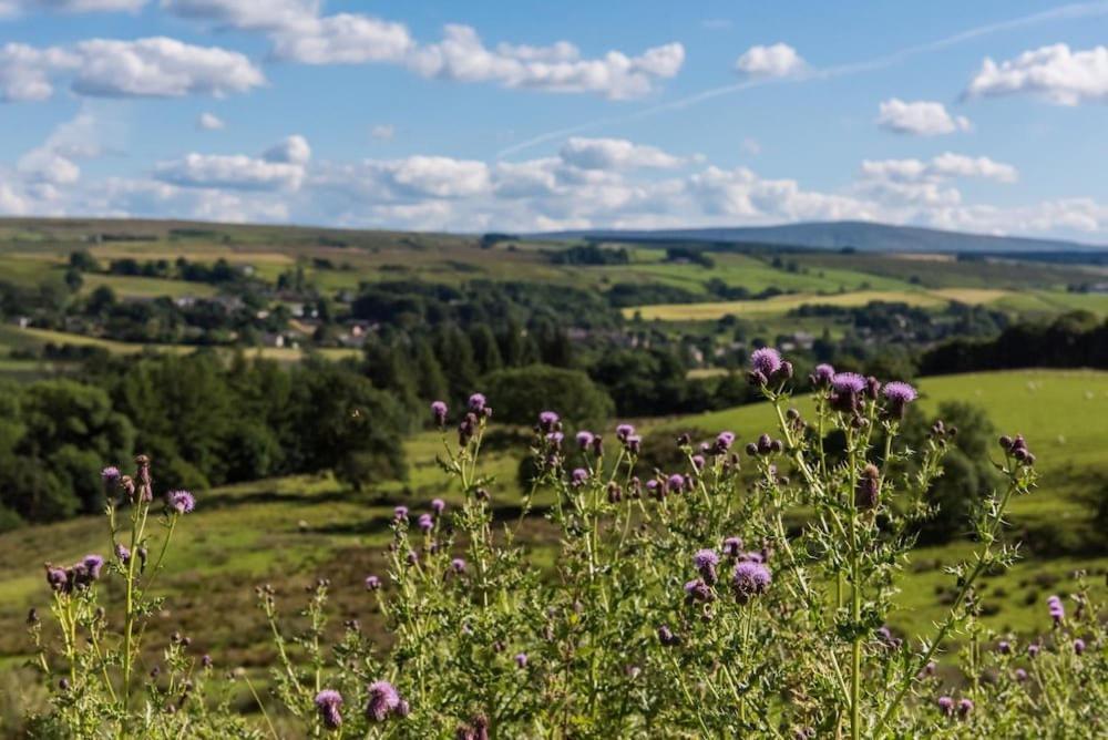 Gilsland Hall Hotel Carlisle (Cumbria) Ngoại thất bức ảnh